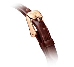 Tiger's Eye Watch With Zircon -Lola Rose Jewellery Shop 1 cc5e211b f715 4e4a a6dc f684af36b4ce 1