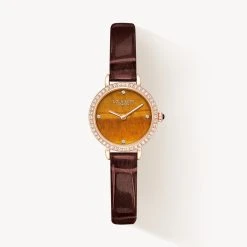 Tiger's Eye Watch With Zircon