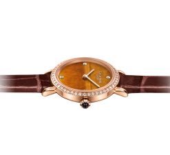 Tiger's Eye Watch With Zircon -Lola Rose Jewellery Shop 2 1d428893 de7d 4cea 8d5e 1e62315845b6 1